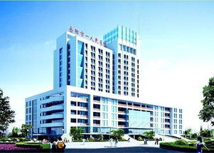 岳陽美盛物業管理圖冊