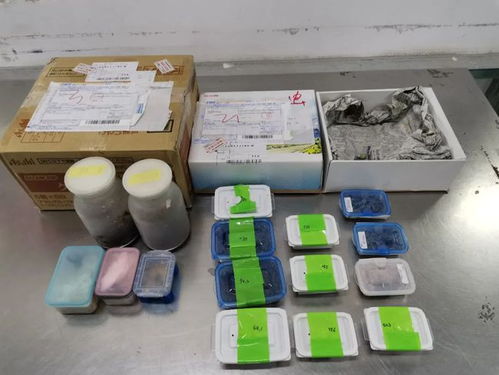 海關(guān)嚴查進境郵政快件，搖身一變的日用品驚現(xiàn)活體甲蟲