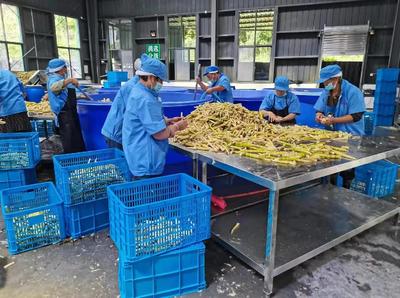 雅安市雨城區(qū) 嚴(yán)守食用林產(chǎn)品安全防線，推動食用農(nóng)產(chǎn)品研發(fā)創(chuàng)新