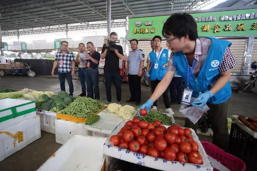 人大代表政協(xié)委員現(xiàn)場見證，食用農(nóng)產(chǎn)品抽檢合格率百分百的背后